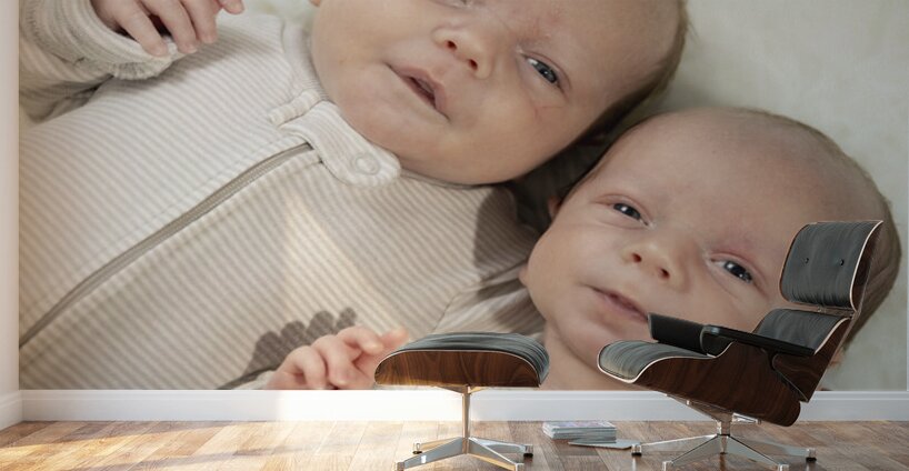 Fraternal Twin Boys Wall Murals