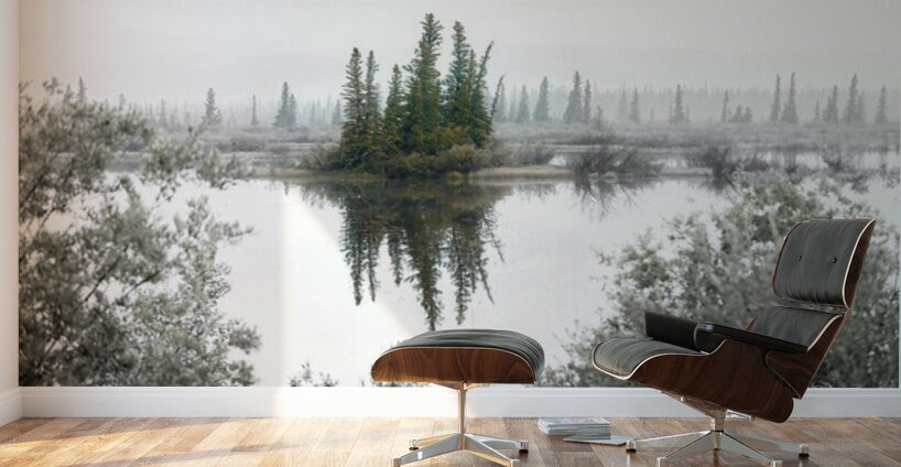 Foggy Eerie Morning in Jasper Alberta Canada  Wall Murals