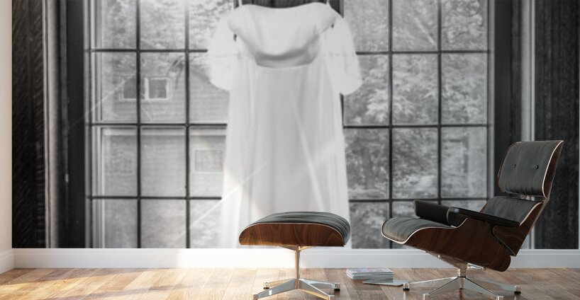 Kevin And Binny 9 Wall Murals