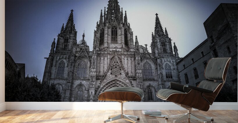 Barcelona Cathedral Spain Wall Murals