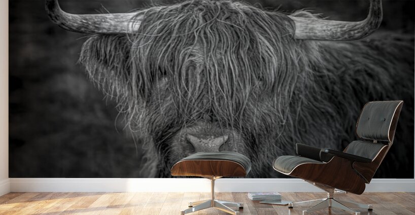 THE HIGHLAND COW SCOTLAND UK Wall Murals