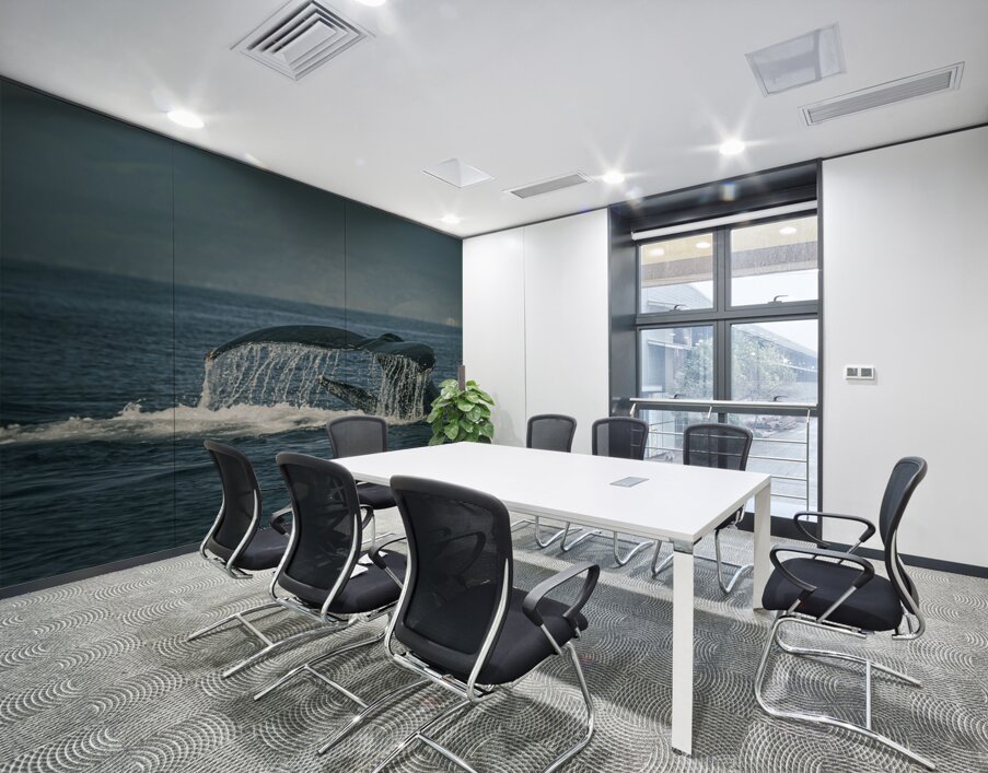 Flukes Whale Tail Puerto Vallarta Mexico Wall Printing