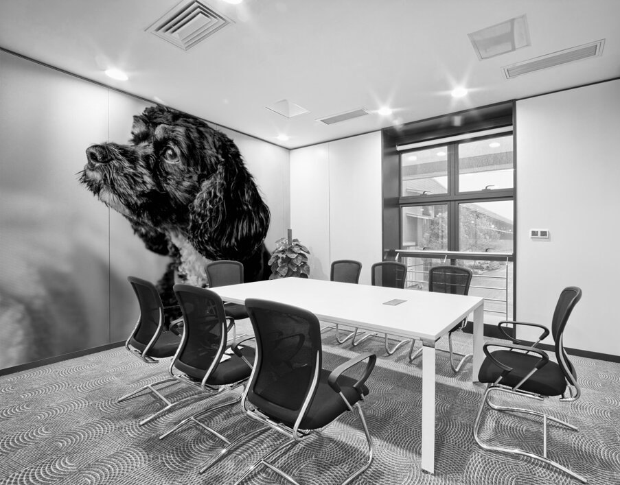 Little Daisy  Wall Printing