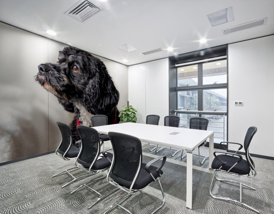 Little Daisy Wall Printing