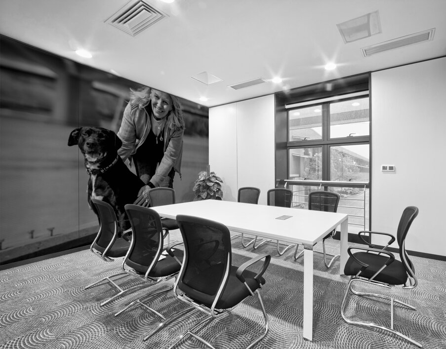 Found a Friend Winnipeg Manitoba Wall Printing