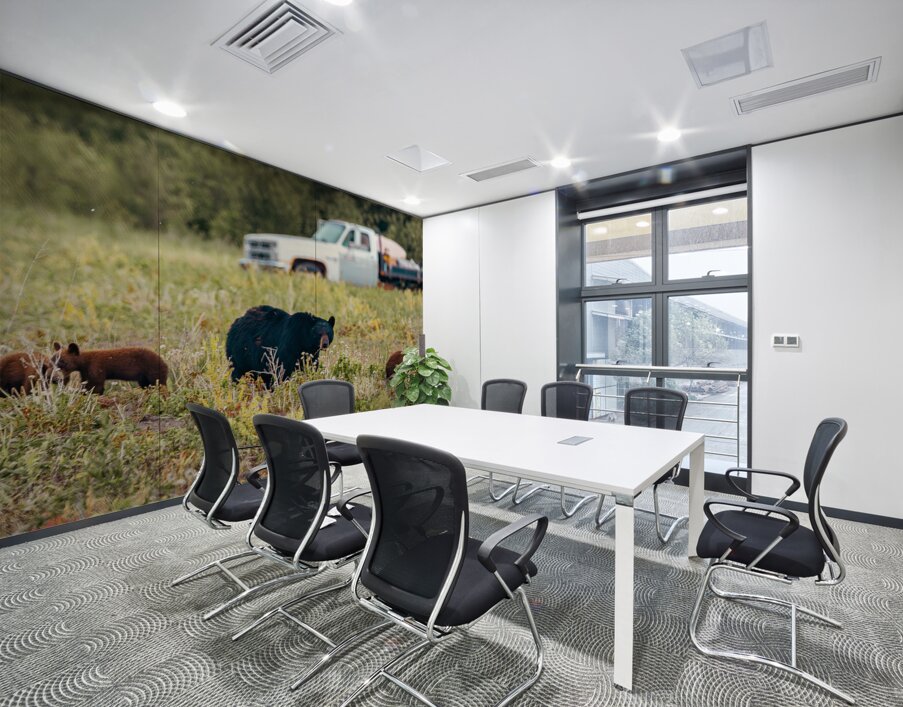 Black Momma Bear Three Cinnamon Cubs Lac Du Bonnet Manitoba Canada Wall Printing