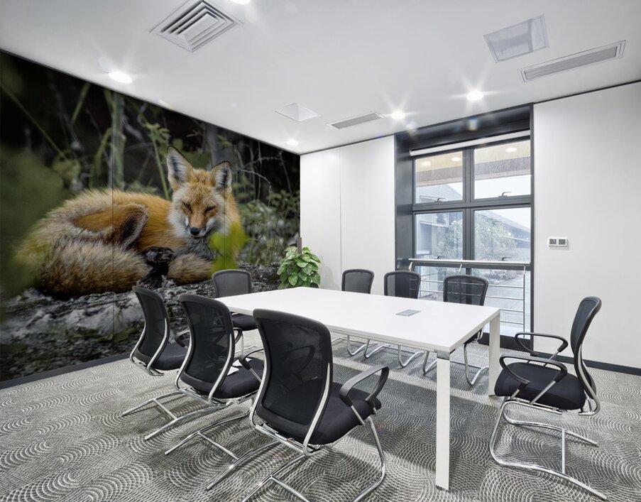 Sleepy Red Fox In Rural Manitoba Canada Wall Printing