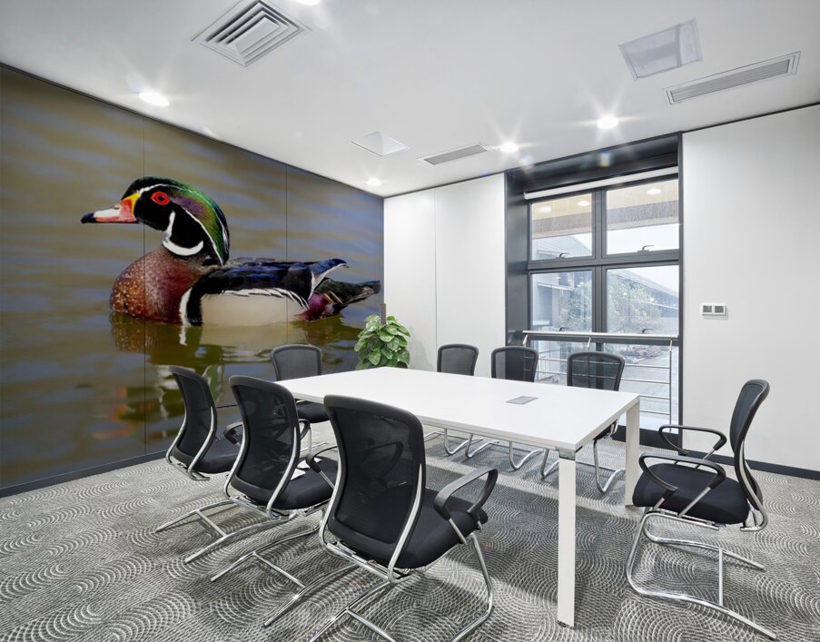 Male Wood Duck Manitoba Canada Wall Printing