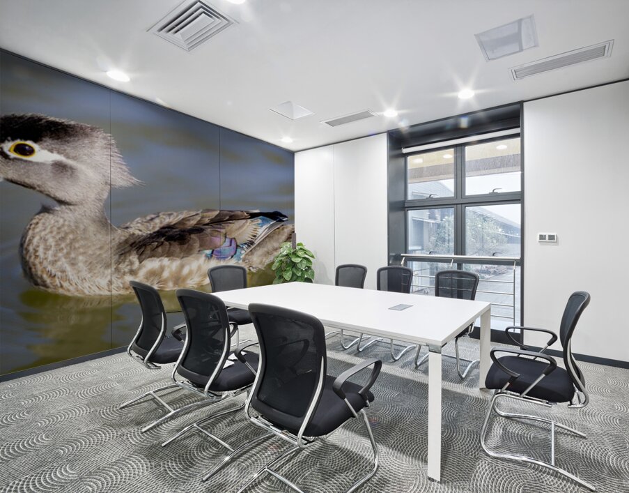 Wood Duck Manitoba Canada Wall Printing