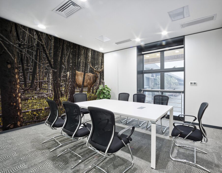 Elk Enjoying The New Flowers After The Wildfires Jasper Alberta Canada Wall Printing