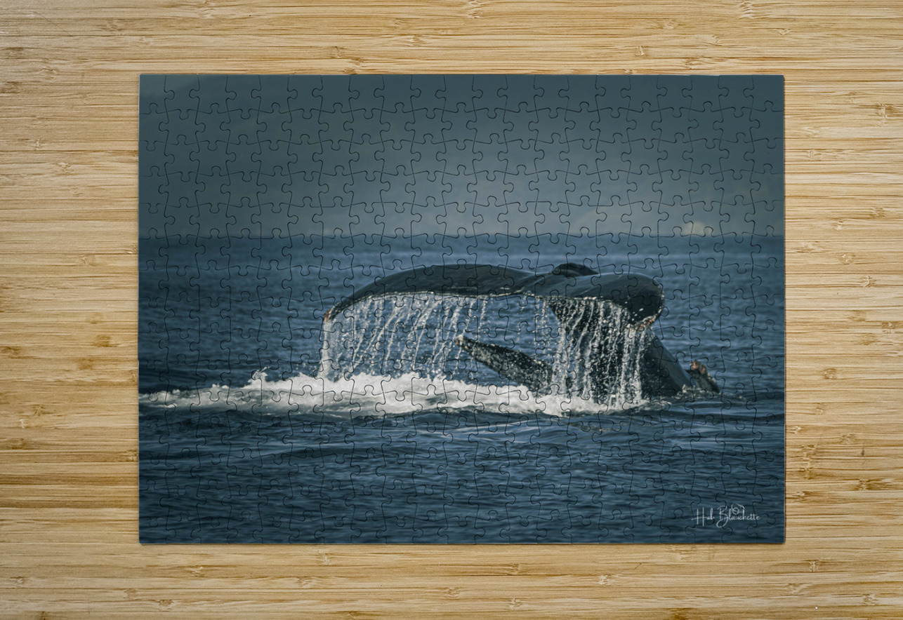 Flukes Whale Tail Puerto Vallarta Mexico Hub Blanchette Puzzle printing