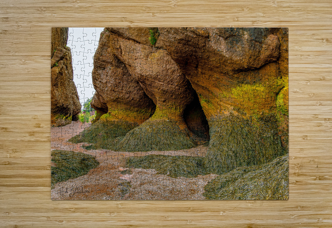 Low Tide Hopewell New Brunswick Canada Hub Blanchette Puzzle printing