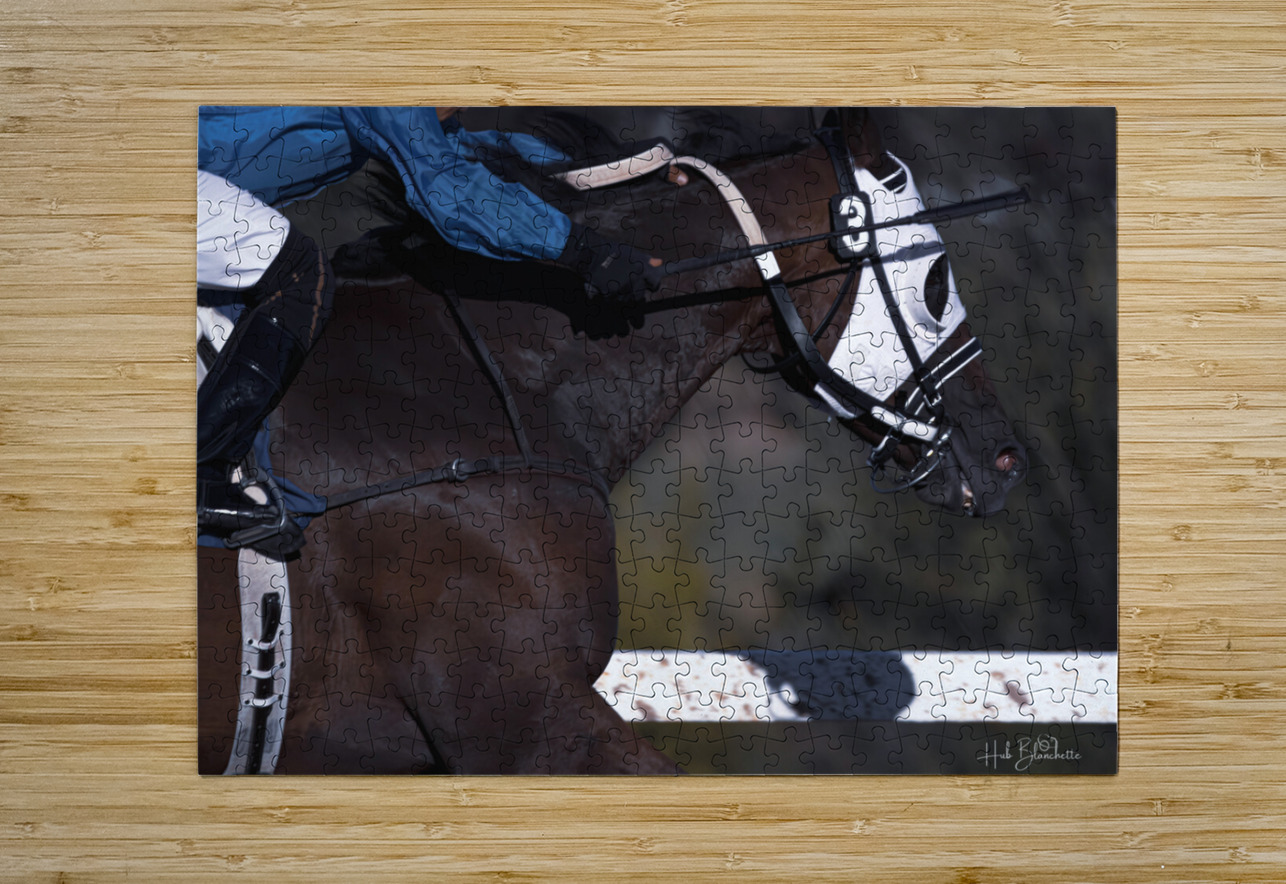 I Can See The Finish Line Assiniboia Downs Winnipeg Manitoba Canada Hub Blanchette Puzzle printing