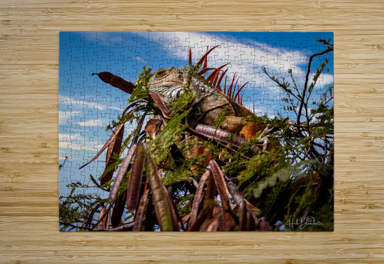 Camouflage Iguana Puerto Vallarta Mexico Hub Blanchette Puzzle printing