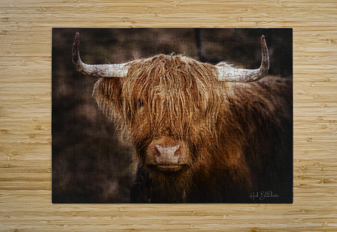 The Highland cow Scotland UK Hub Blanchette Puzzle printing