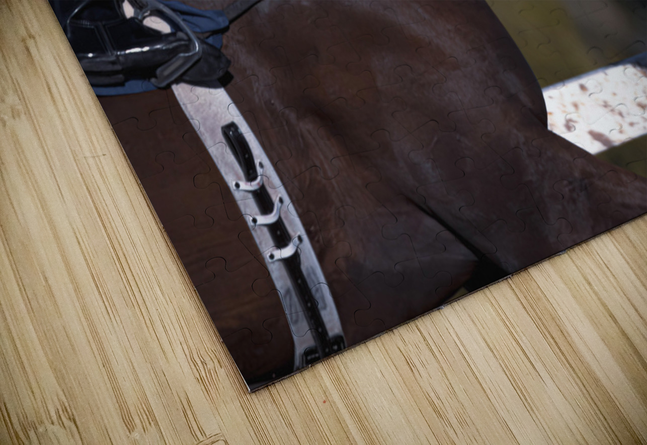 I Can See The Finish Line Assiniboia Downs Winnipeg Manitoba Canada Hub Blanchette Puzzle