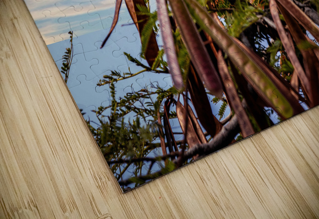 Camouflage Iguana Puerto Vallarta Mexico Hub Blanchette Puzzle