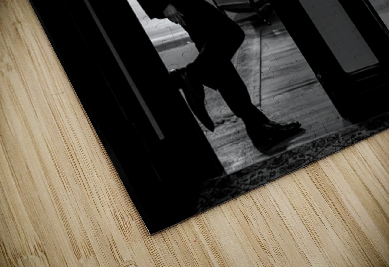 Kevin And Binny 29 Hub Blanchette Puzzle