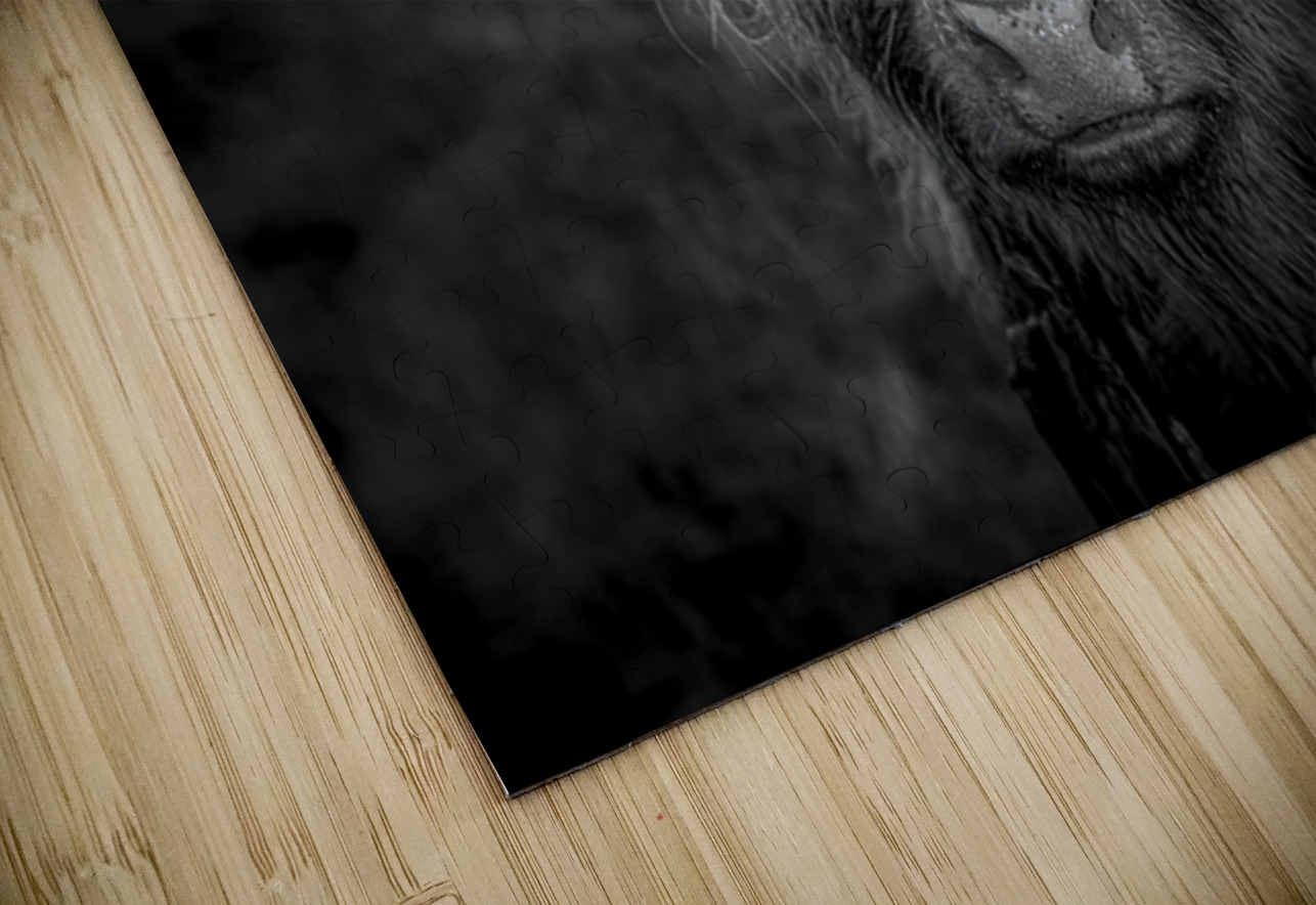 THE HIGHLAND COW SCOTLAND UK Hub Blanchette Puzzle