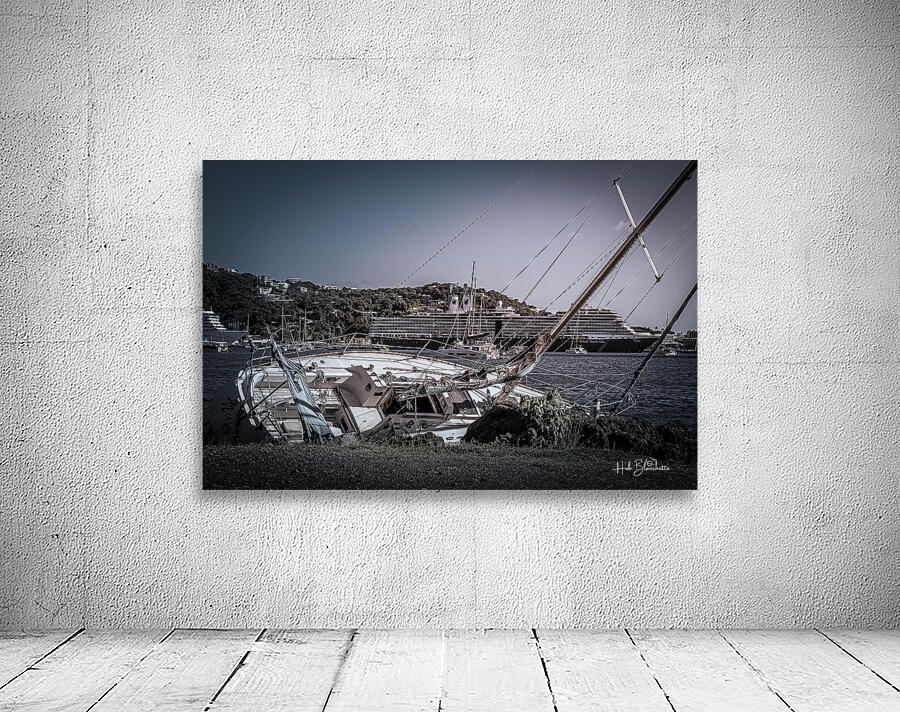 Reincarnated Into HA Eurodam United States Virgin Islands Wall Preview