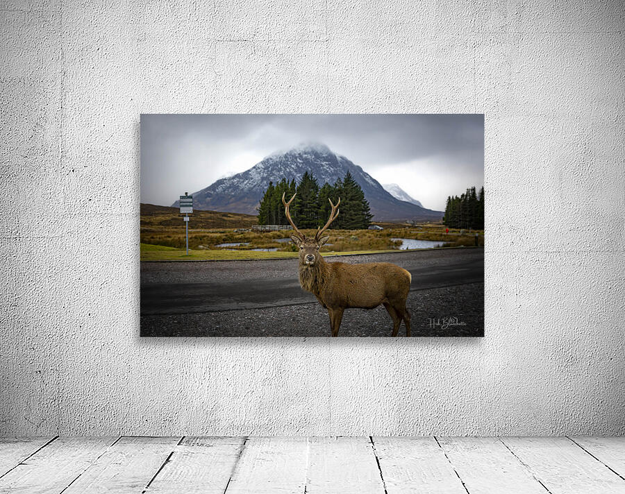 Buachaille Etive Mor Mountain Scotland UK Wall Preview