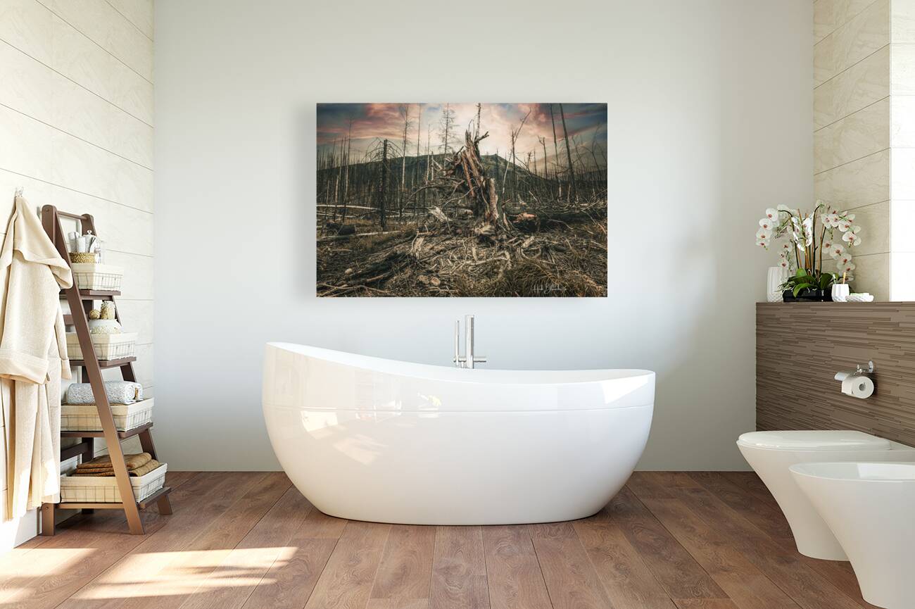 Wild Fires Whistler Campground In Jasper Alberta Canada Reproduction